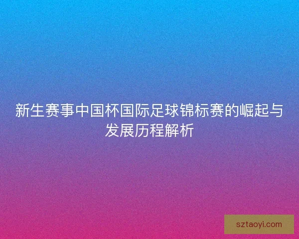 新生赛事中国杯国际足球锦标赛的崛起与发展历程解析