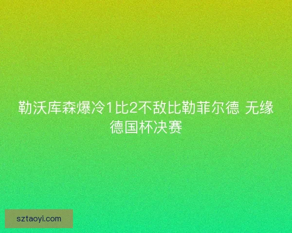 勒沃库森爆冷1比2不敌比勒菲尔德 无缘德国杯决赛