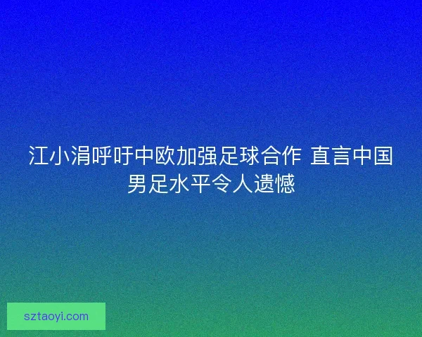江小涓呼吁中欧加强足球合作 直言中国男足水平令人遗憾